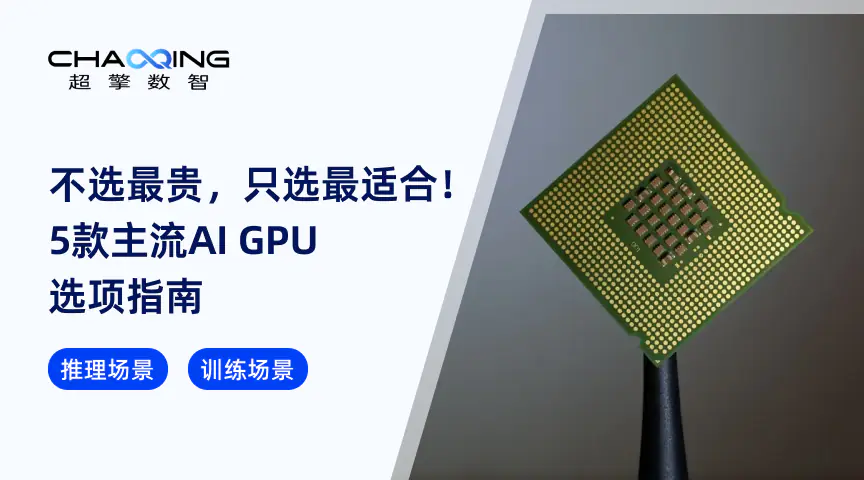 不选最贵，只选最适合！5款主流AI GPU选项指南