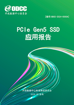 PCIe Gen5 SSD应用报告